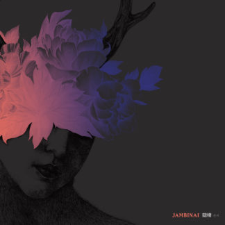 JAMBINAI A Hermitage - Vinyl LP (black) + CD