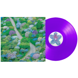 FIDDLEHEAD Between The Richness - Vinyl LP (opaque violet)