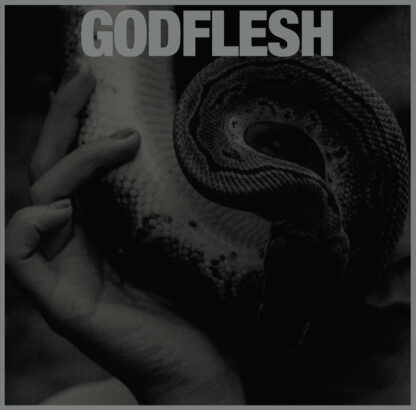 GODFLESH Purge - Vinyl LP (black)