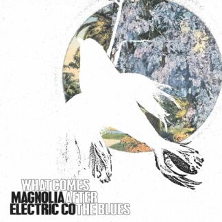 MAGNOLIA ELECTRIC CO. What Comes After Blues - Vinyl LP (black)