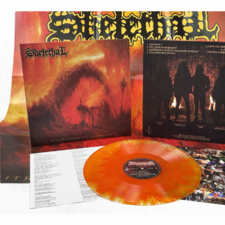 SKELETHAL Within Corrosive Continuums - Vinyl LP (cloudy orange)