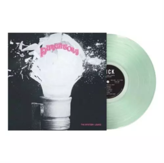 THE MYSTERY LIGHTS Purgatory - Vinyl LP (coke bottle clear)